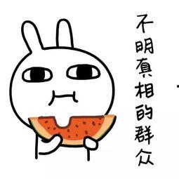 娱乐吃瓜酱如何省钱,轻松打造低成本快乐生活